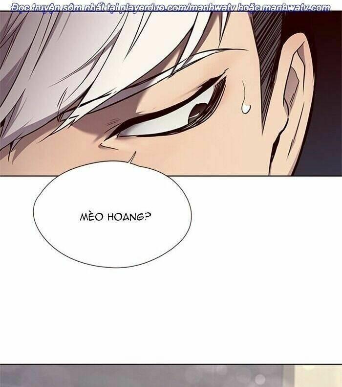 biến thân thành mèo chapter 46 56