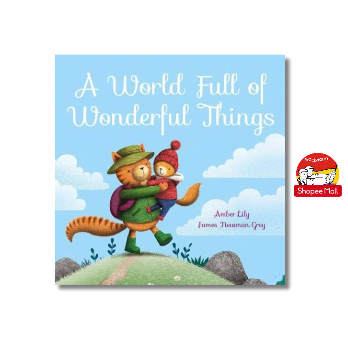 Sách - A World Full of Wonderful Things by Amber Lily - Sách ngoại văn, sách thiếu nhi tiếng Anh, bìa mềm, nhập khẩu UK