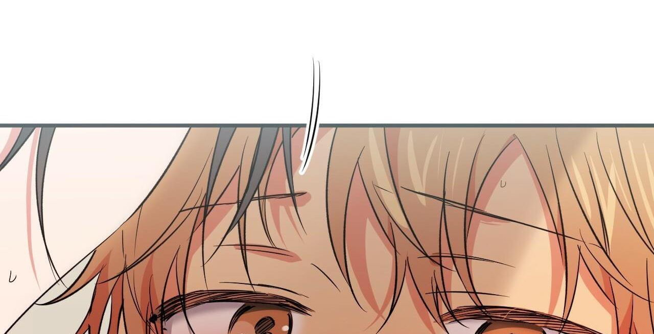 đàn thỏ của habibi chapter 54 45