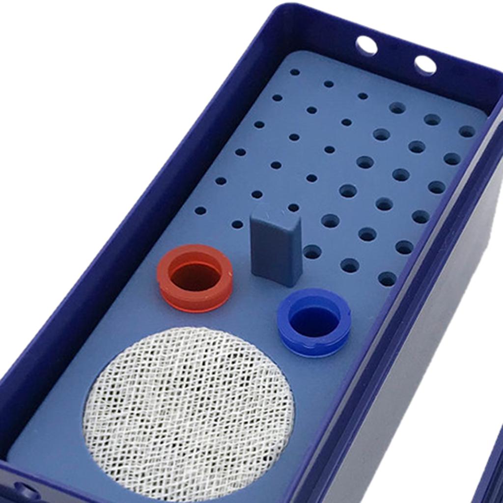 1Pc Blue  Endo Box Gutta Percha Points Burs Files Disinfection Case