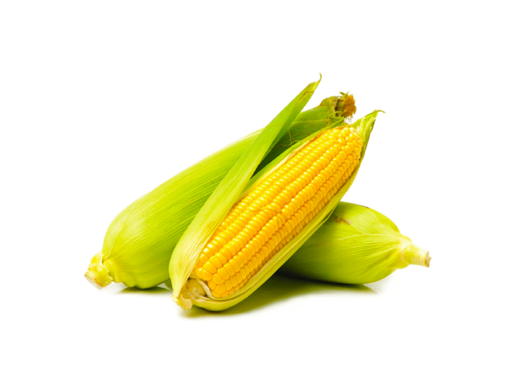 Bắp Mỹ - 1 trái
