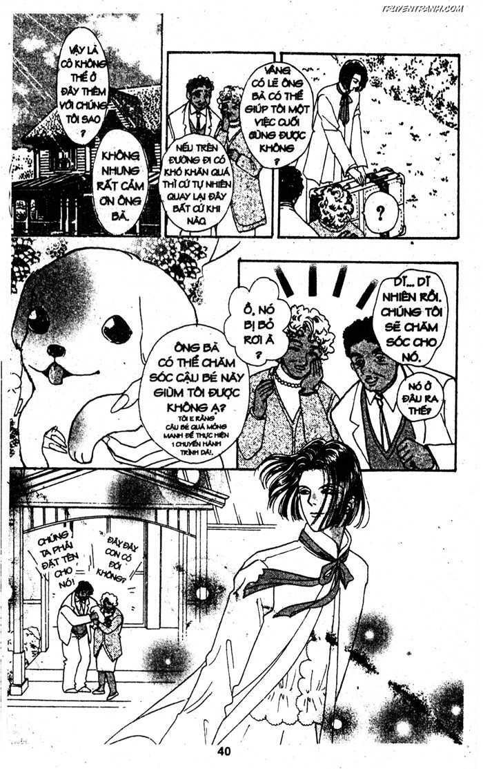 petshop of horrors chapter 36 41