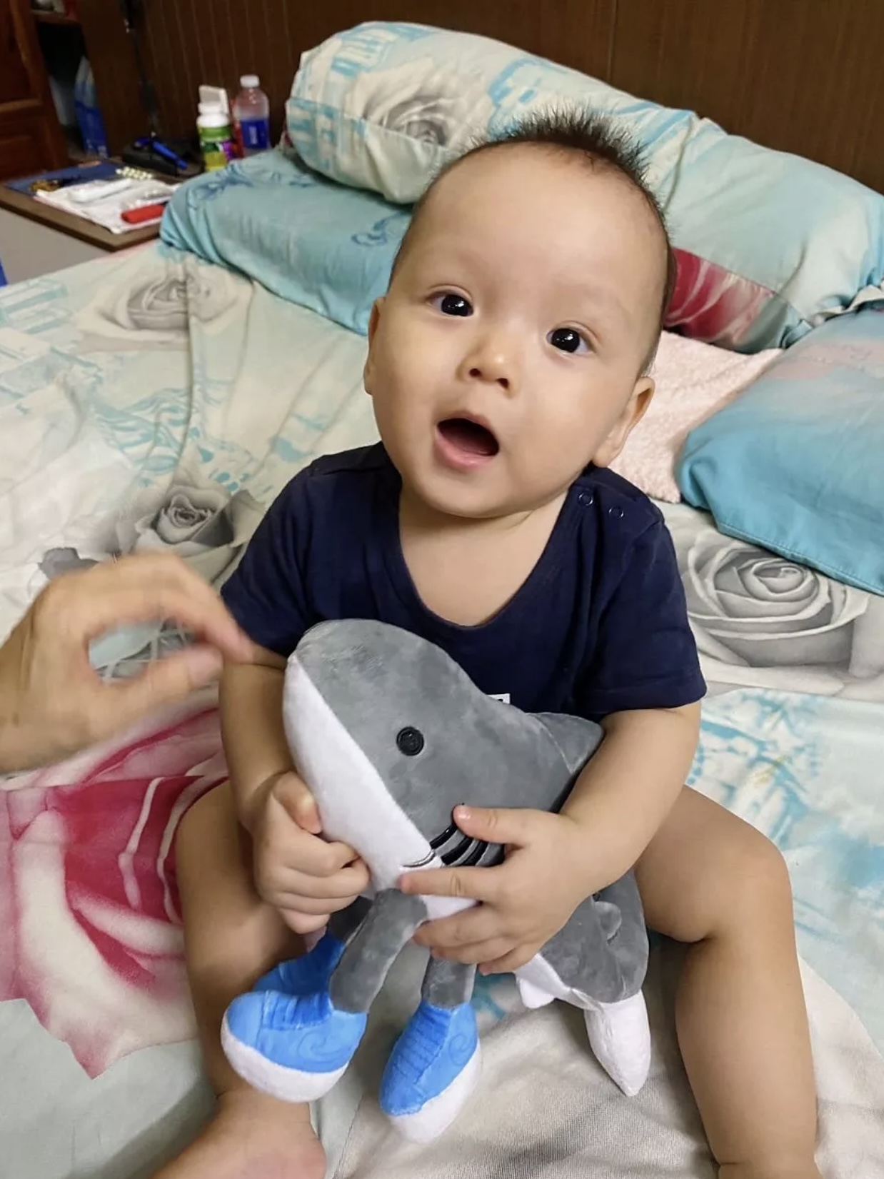 Gấu bông tung tung tung sahur rẻ tralalero tralala gấu bông brain rot lirili larila ship HOẢ TỐC HCM