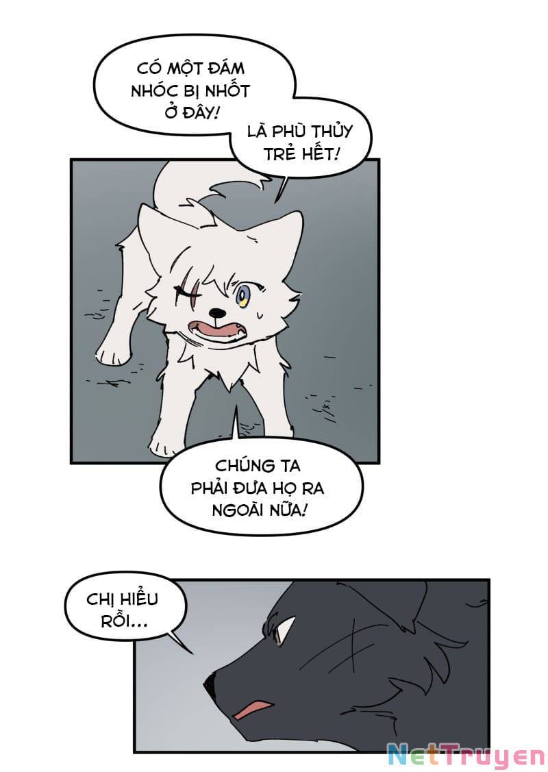 lumine - cội nguồn ánh sáng chapter 161 9