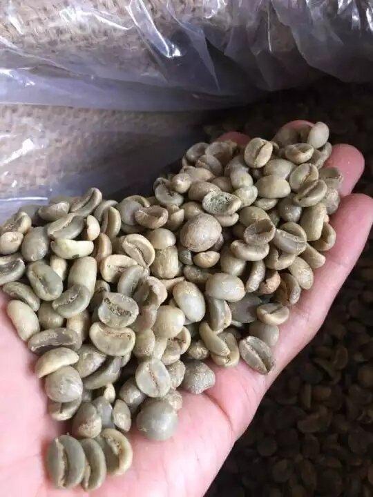 Nhân cà phê arabica cầu đất chất lượng cao