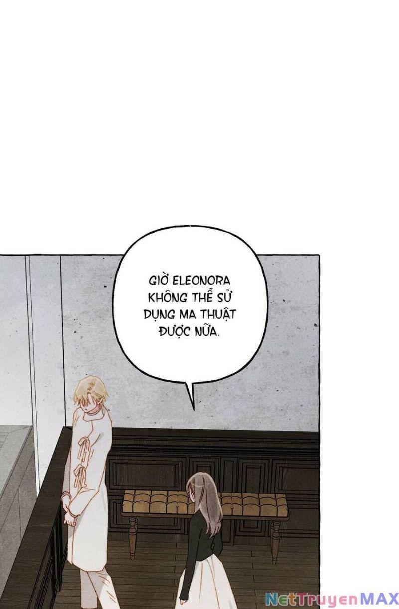 nuôi dưỡng một hắc long chapter 68.2 12