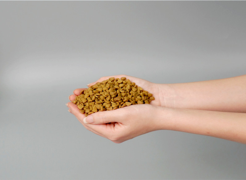 [MUA 2 TẶNG 1] Thức ăn hạt cho mèo mọi lứa tuổi Today dinner - 1kg