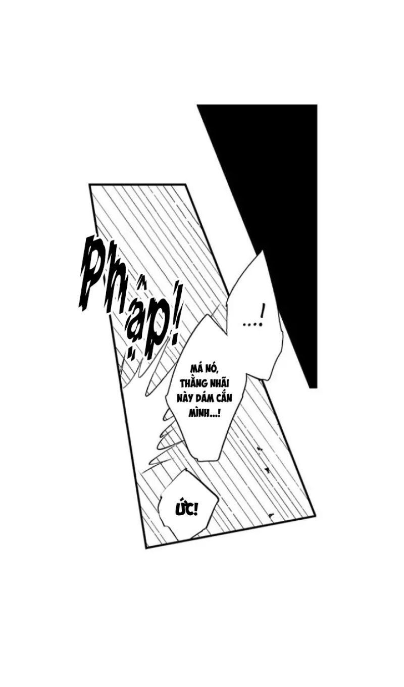 tiếng gọi của tình yêu sau trải nghiệm cận tử chapter 38 2