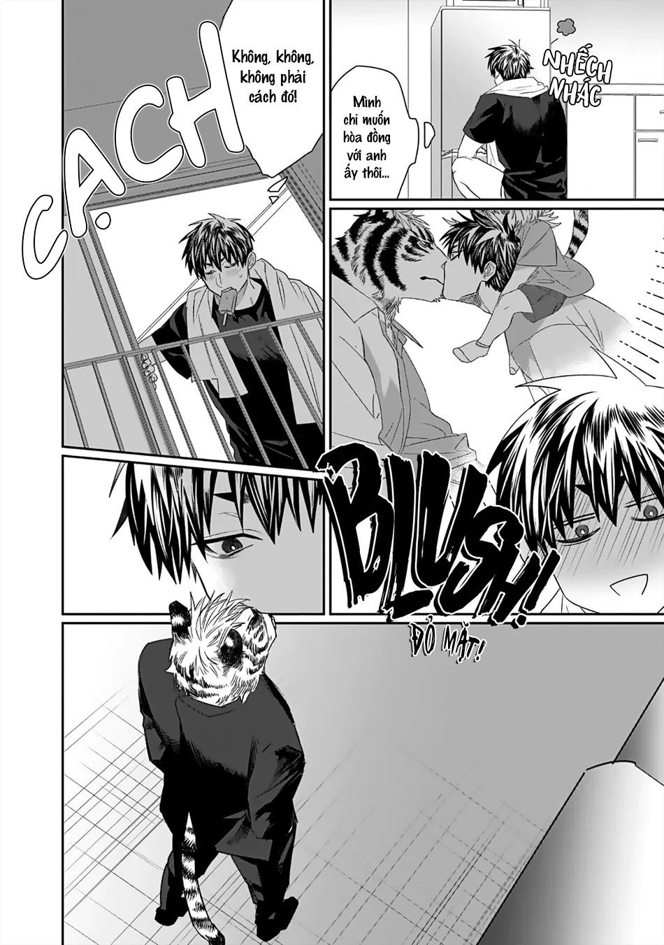 chào mừng đến văn phòng thám tử torano chapter 2 17