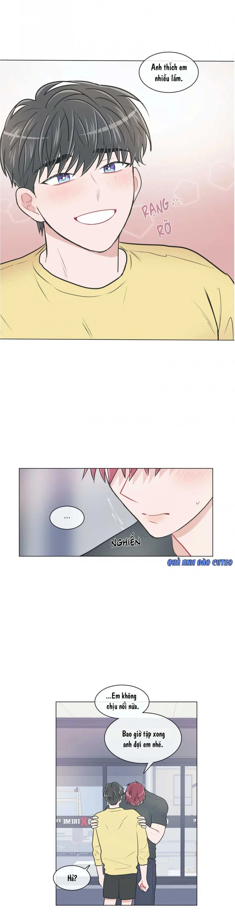 anti p.t chapter 52.5 7