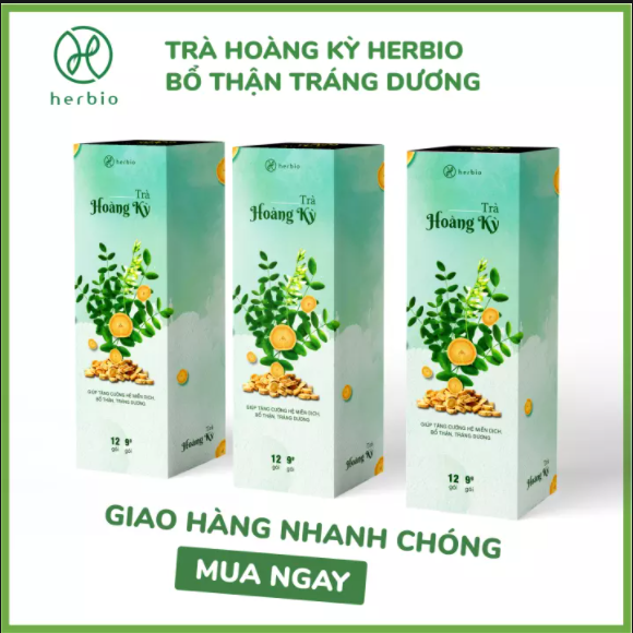 Trà thảo mộc Hoàng Kỳ Herbio - giúp tăng cường hệ miễn dịch, bổ thận tráng dương - hộp 12 gói x 9gr