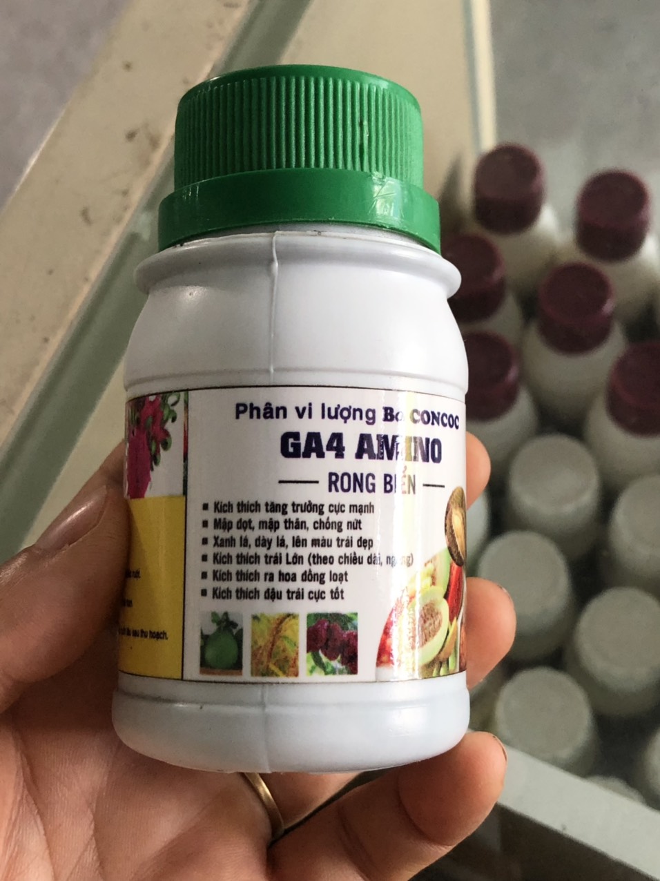 GA4 AMINO RONG BIỂN- Kích thích tăng trưởng, căng nở bề ngang, bề dọc, dày lá xanh lá