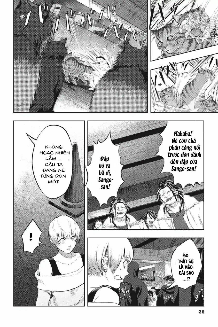 nyankees chapter 8 8