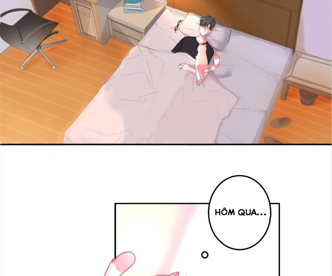 social cat chapter 1 38