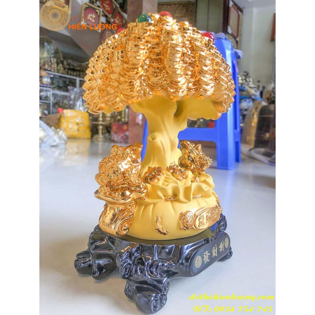 Cây Kim Tiền Bằng Đá