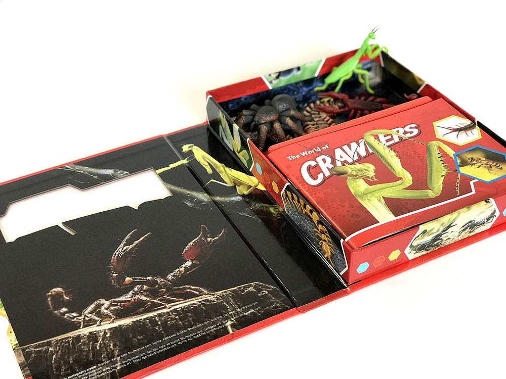 Crawlers Pocket Explorers