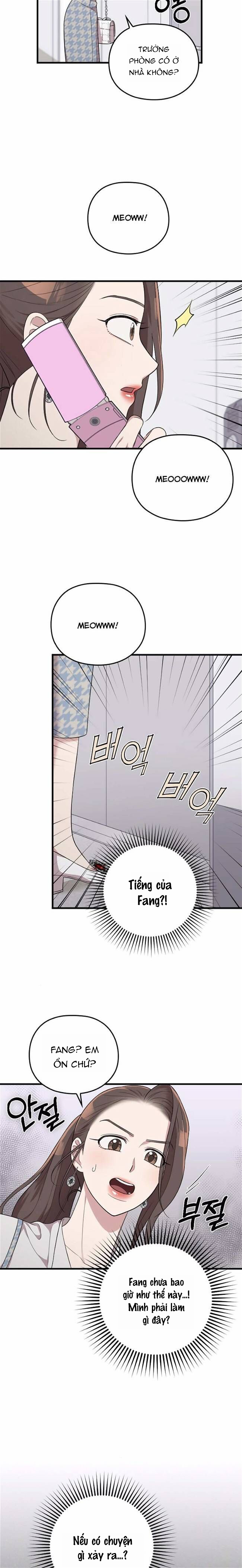 cô đi mà lấy chồng tôi chapter 33.2 11