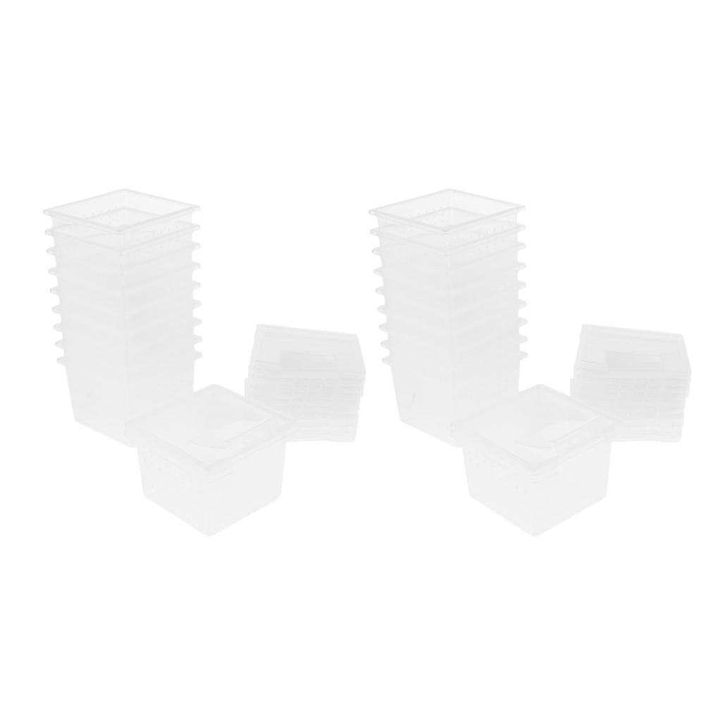 20 Pcs Reptile Food Water Feeder Feeding Spider Basin Insect Turtle Breeding