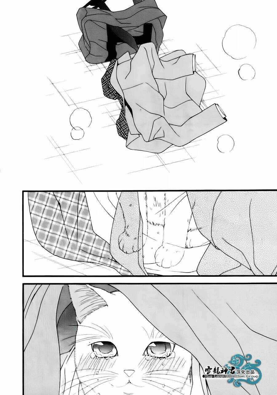 neko neko honey chapter 8 27