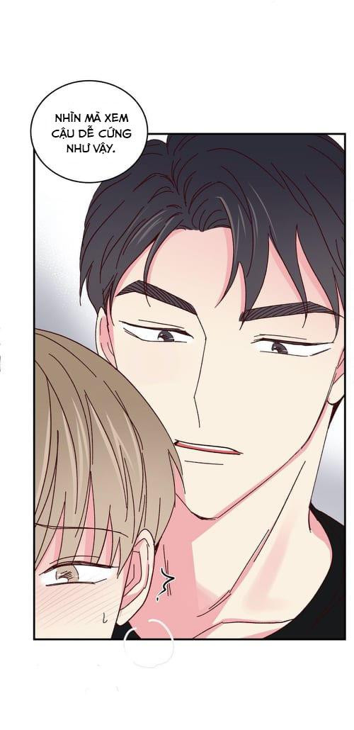 món tráng miệng của sếp tổng chapter 47 13