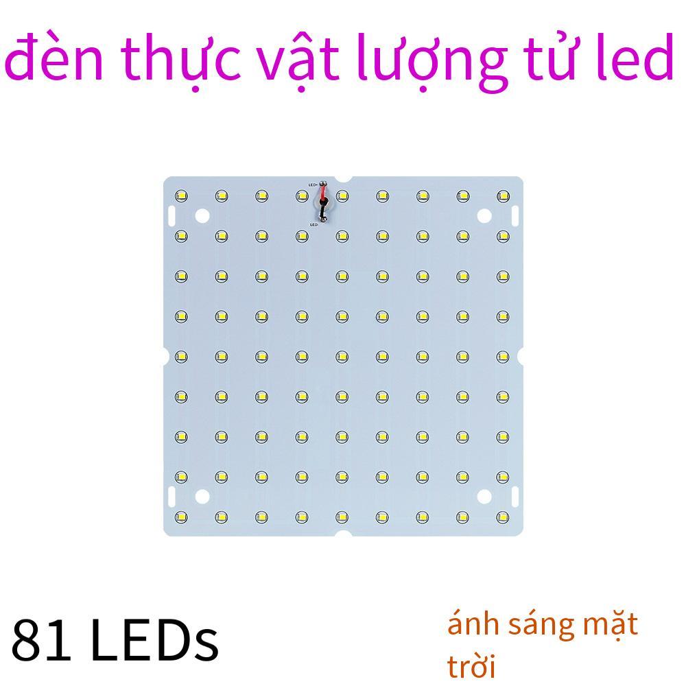 Đảm bảo chất lượng bán hàng trực tiếp Đèn LED trồng cây đèn bảng lượng tử quang phổ đỏ và xanh dương cây mọng nước tăng trưởng lấp đầy ánh sáng đèn trồng cây trong nhà