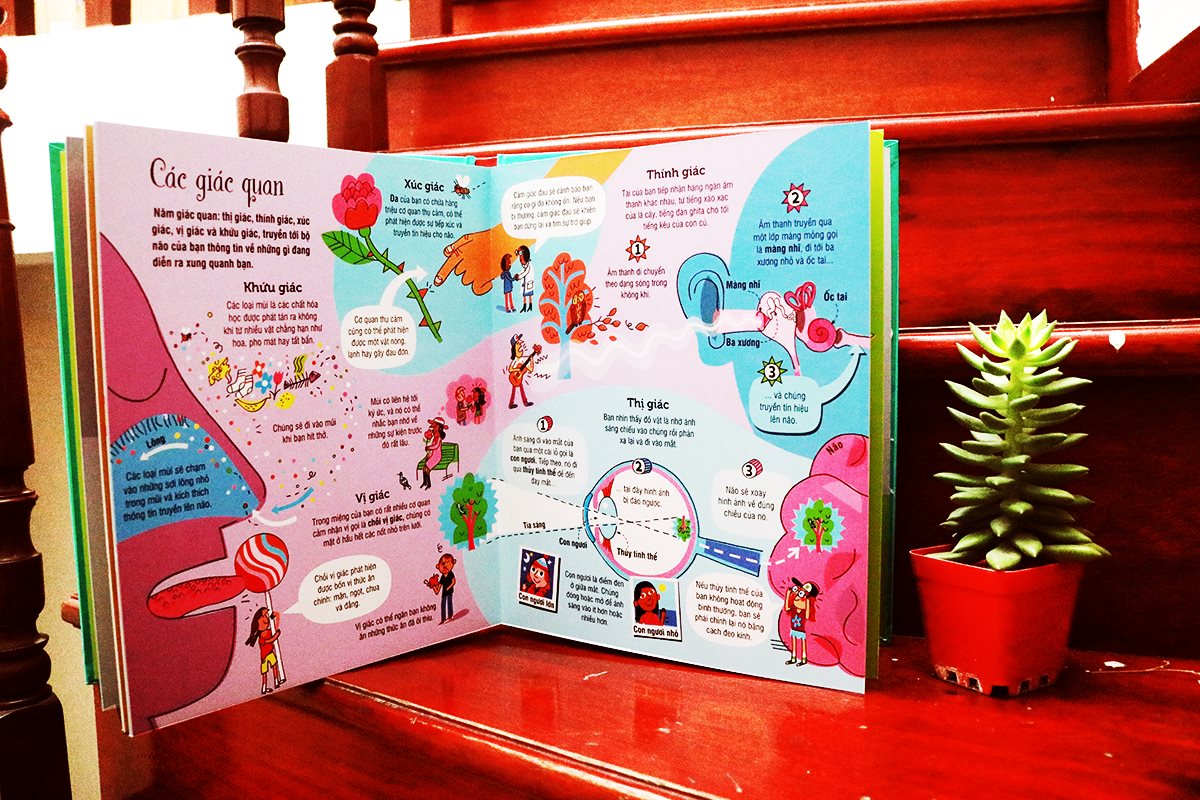 Big Book Of The Body – Cuốn Sách Khổng Lồ Về Cơ Thể Người