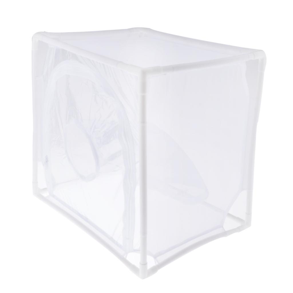 Butterfly Plant Habitat Terrarium Cage