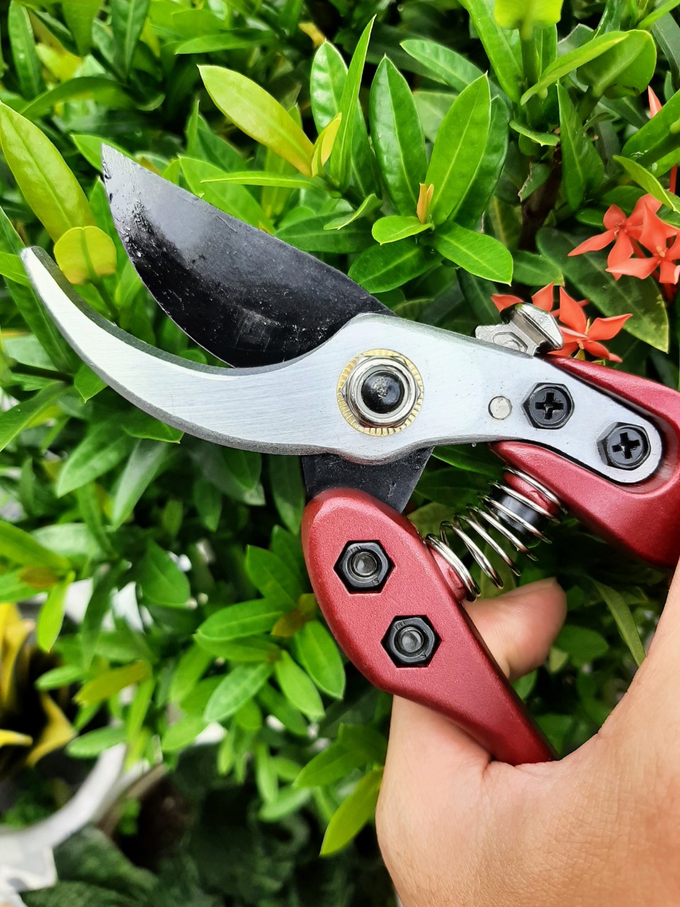 Kéo Cắt Tỉa Cành Cây Chất Liệu Thép Không Rỉ Cao Cấp SK5 Nặng Chắc Tay