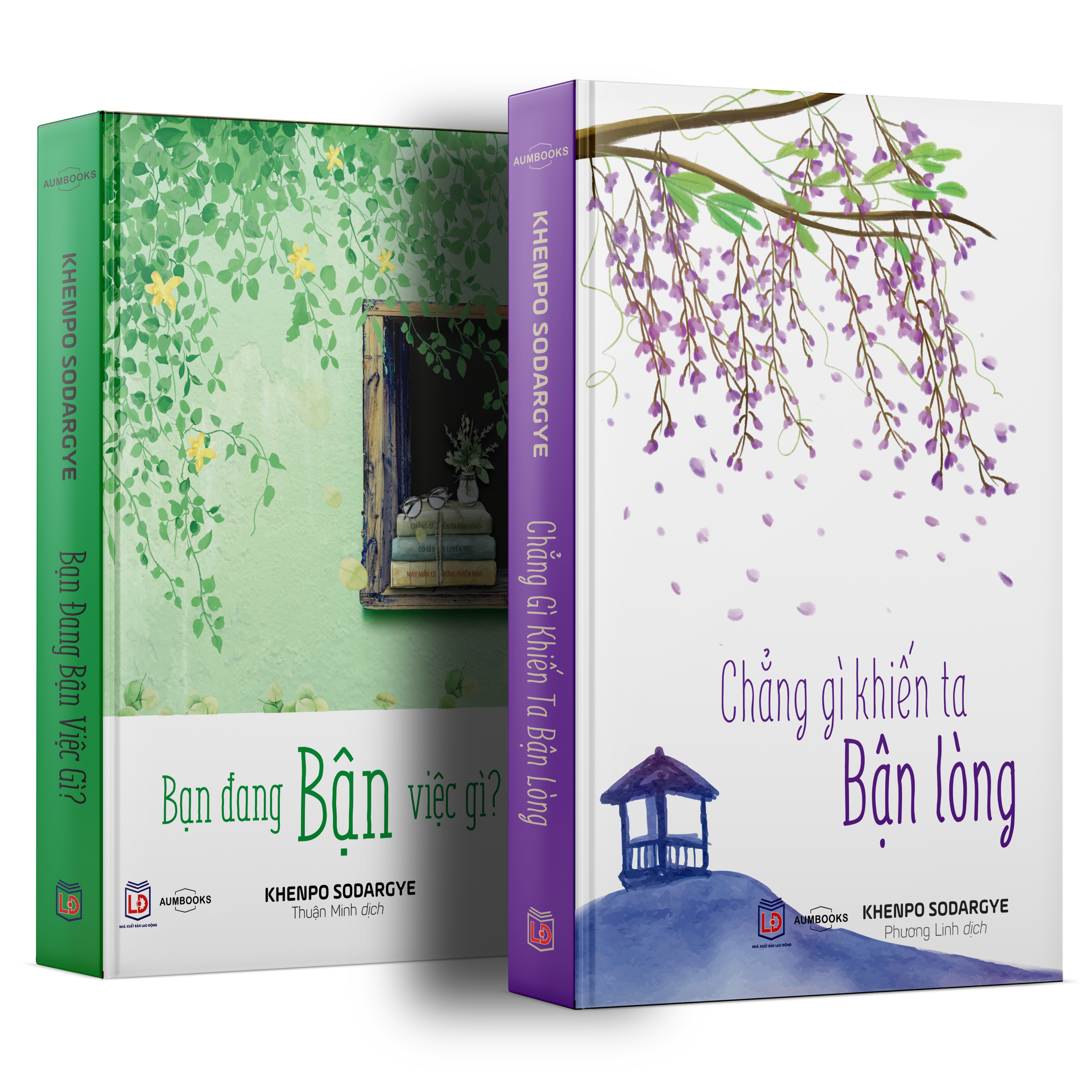 BỘ SÁCH "BẬN" ( Bạn Đang Bận Việc Gì Và Chẳng Gì Khiến Ta Bận Lòng ) - Sách Tôn Giáo, Nghệ Thuật Và Văn Hóa, Tác Giả KHENPO SODARGYE - Á Châu Books, bìa mềm, in màu