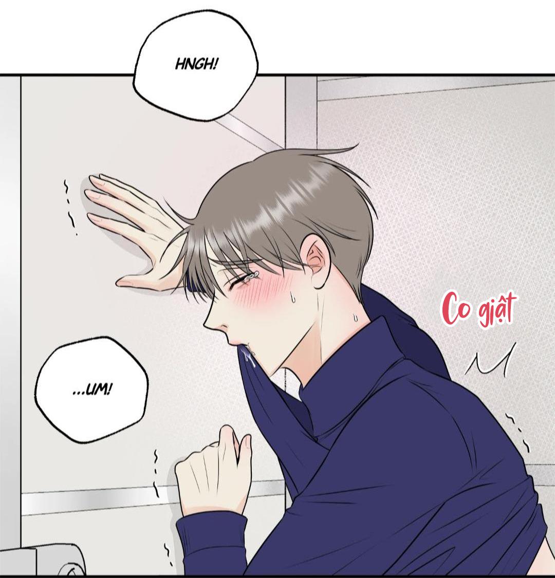 hạnh phúc trọn vẹn chapter 21 50