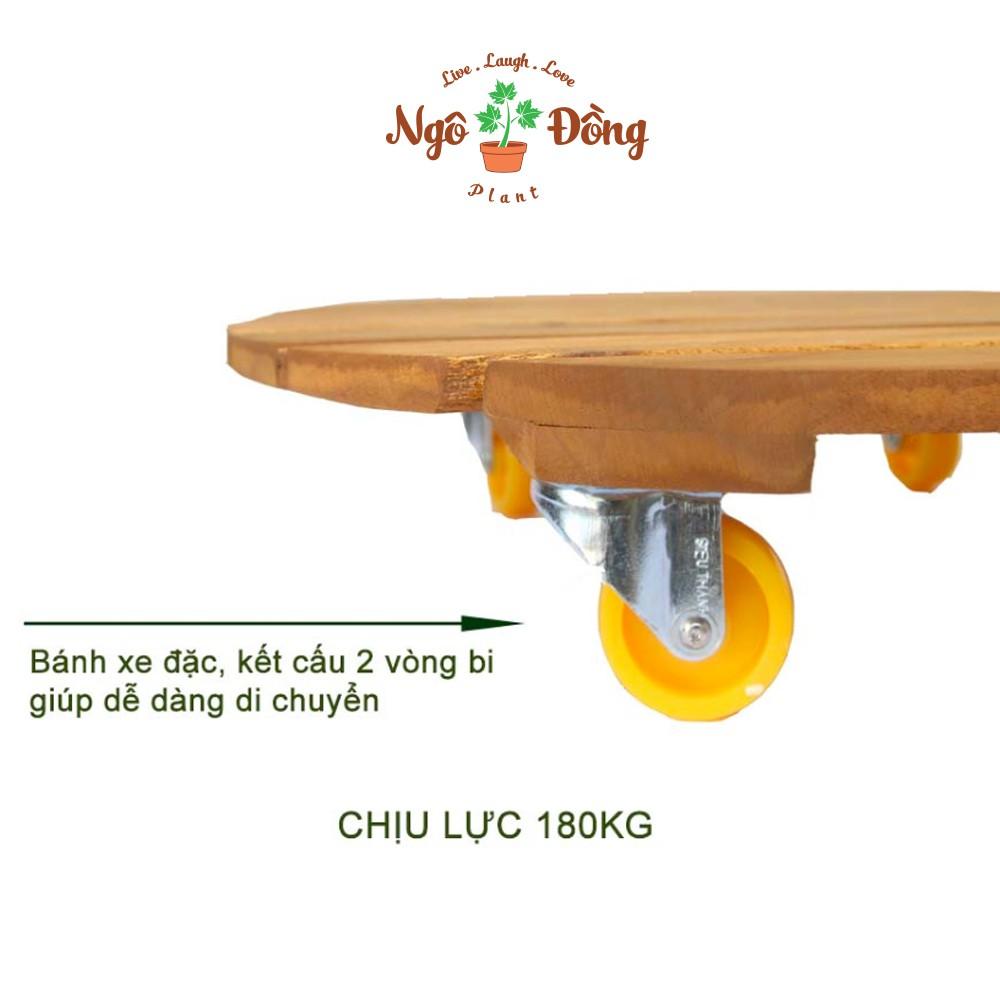  Bộ 2 Đế Lót Để Chậu Cây Cảnh Gỗ Tràm R40cm Có Bánh Xe Tròn Chịu Lực Lên Đến 180kg