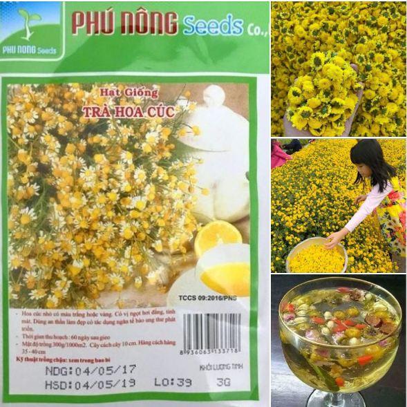 Hạt Giống Trà Hoa Cúc Phú Nông - 3gr/gói