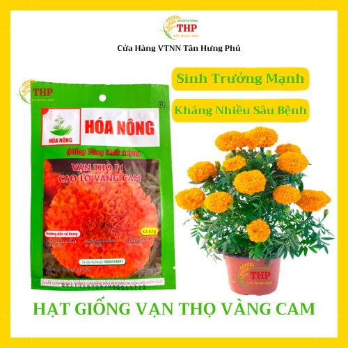 Hạt giống Vạn Thọ F1 Cao Lỡ Vàng Cam | Hạt giống | gói 0.1gr