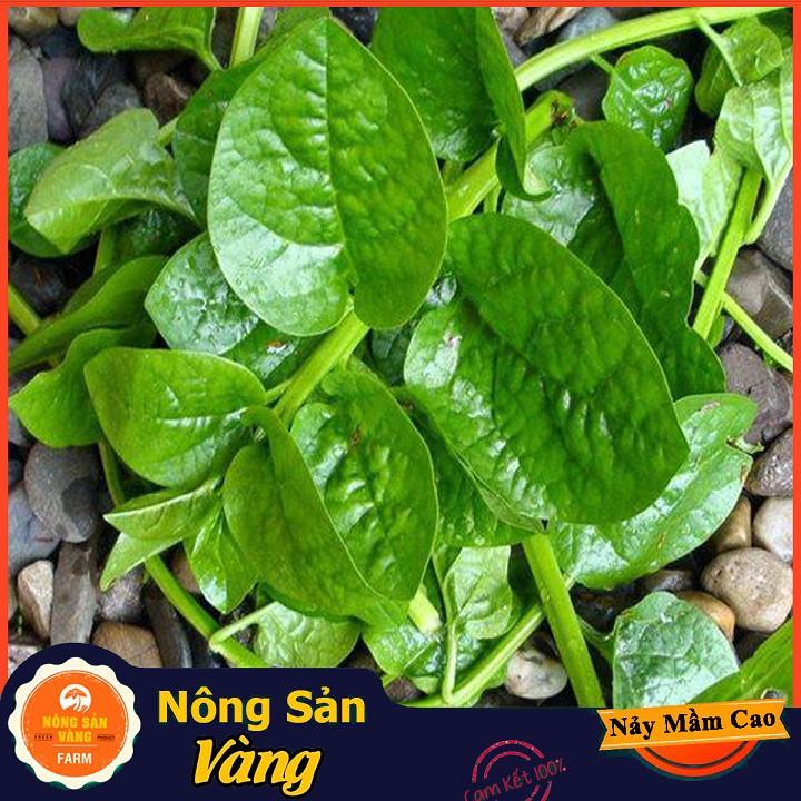 Hạt giống Mồng Tơi Xanh