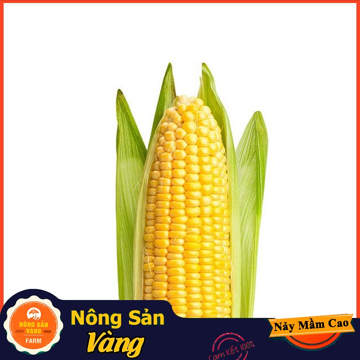 Hạt giống Bắp Mỹ (Ngô Mỹ) ( Gói 10 Gram ) - Nông Sản Vàng