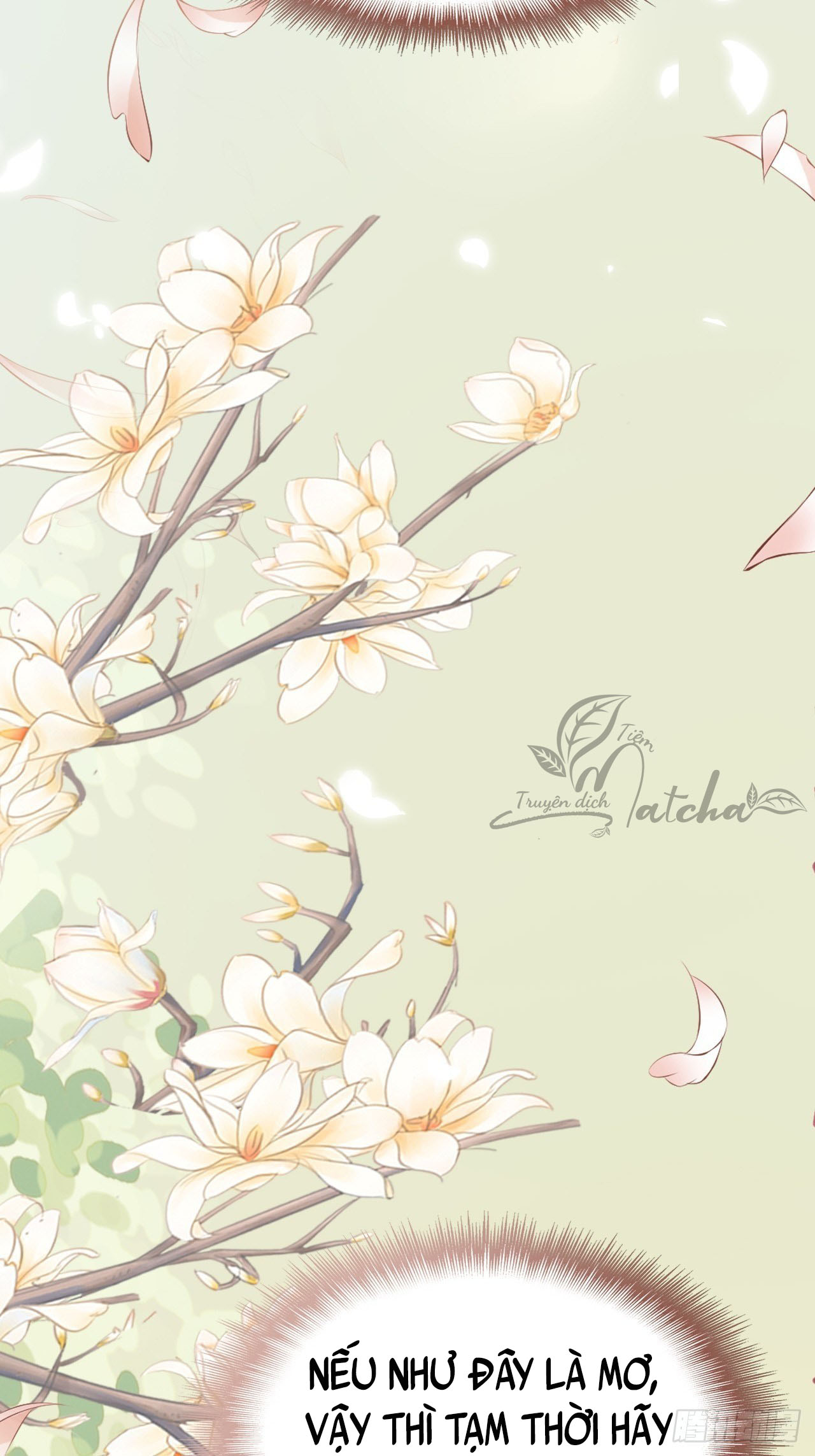 tôi đã kết hôn với một nhân vật phản diện chapter 5 65