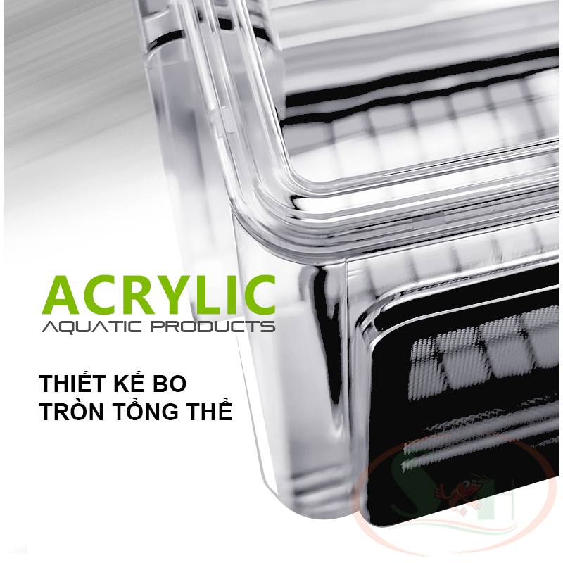 Lồng dưỡng mica BSFH Fish Isolation Box hộp tách đẻ dưỡng cây cá tép