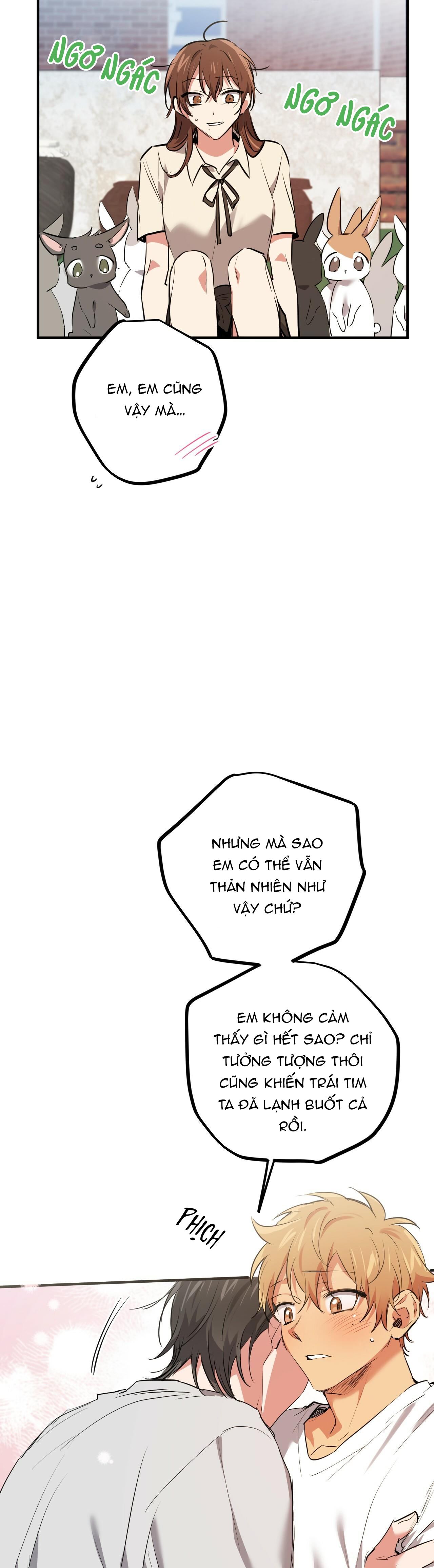 những chú thỏ của hapypy chapter 39 54