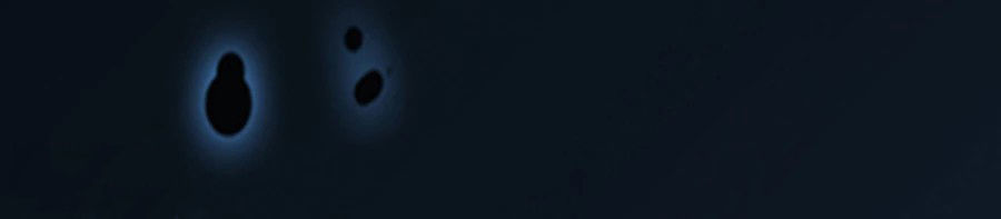 hoàn mỹ lão công tiến hóa luân chapter 69.5 20