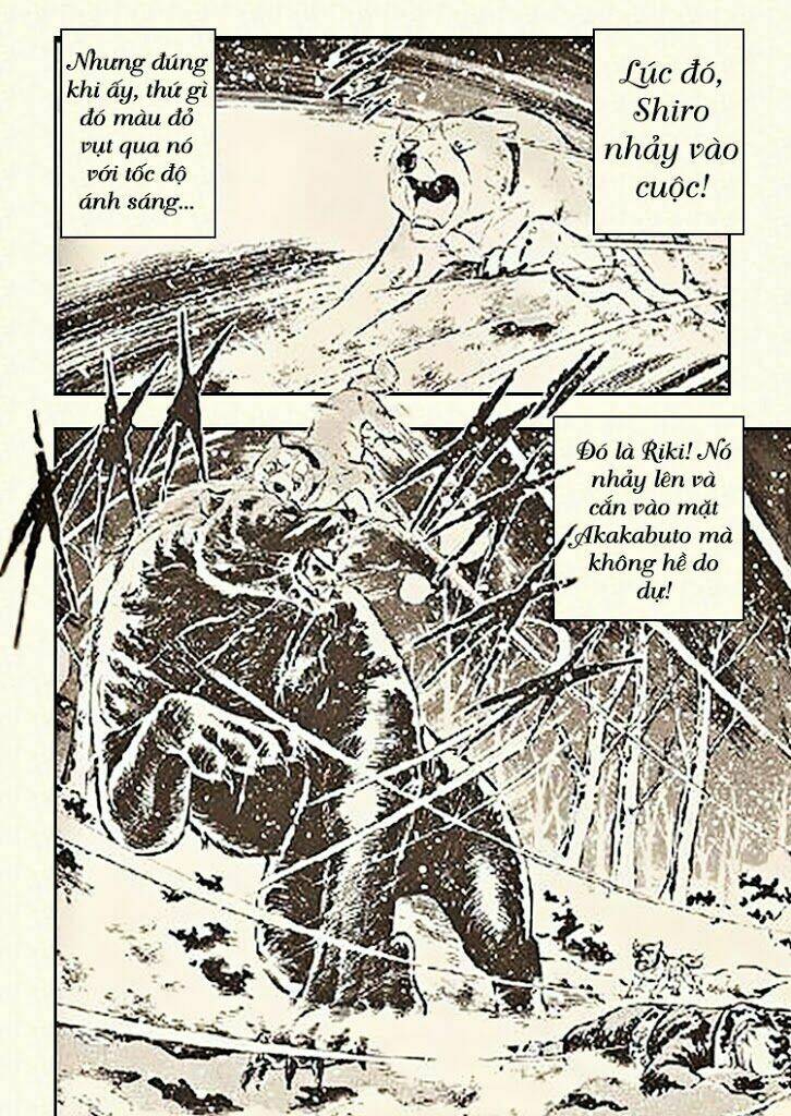 ginga densetsu riki chapter 6 19