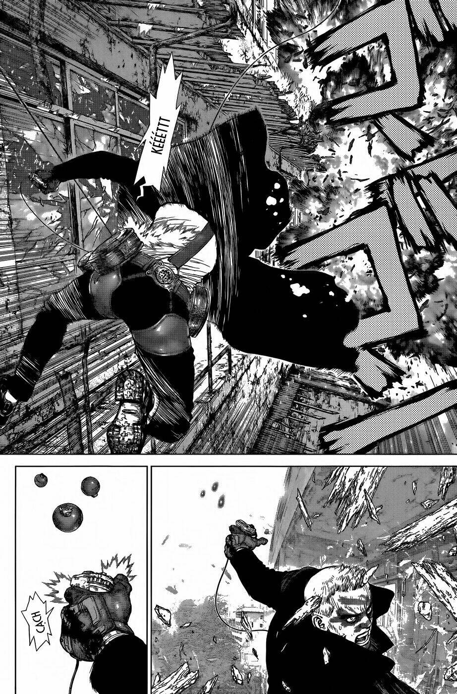 wallman chapter 16 19