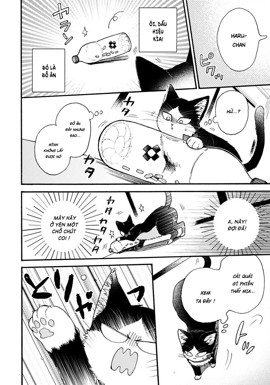 doukyonin wa hiza, tokidoki, atama no ue chapter 8.5 4