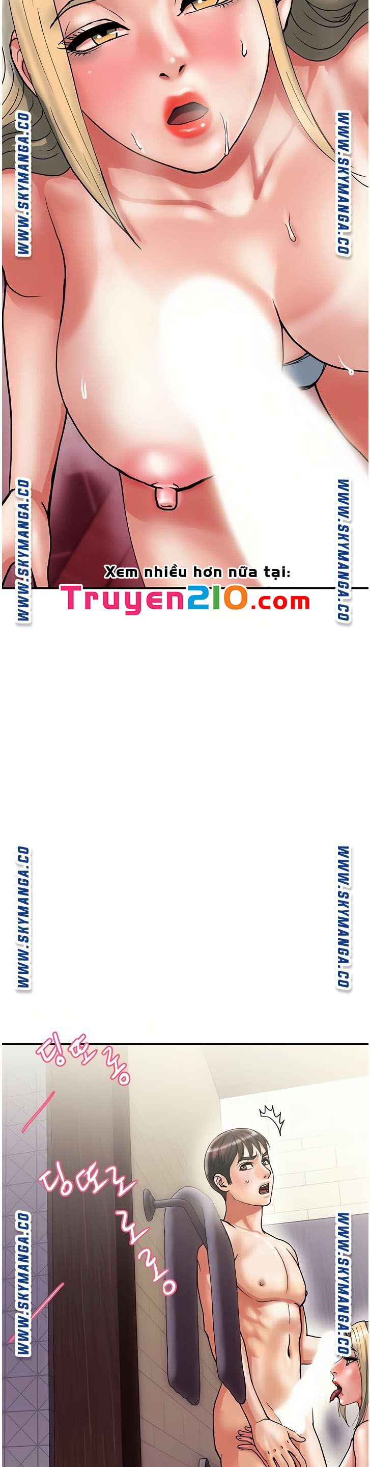 chất dẫn dục chapter 11 28