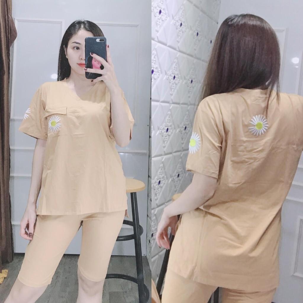 Đồ bộ mặc nhà cổ tim phối họa tiết hoa cúc dễ thương, chất thun cotton loại 1, size 45-65kg-HT53