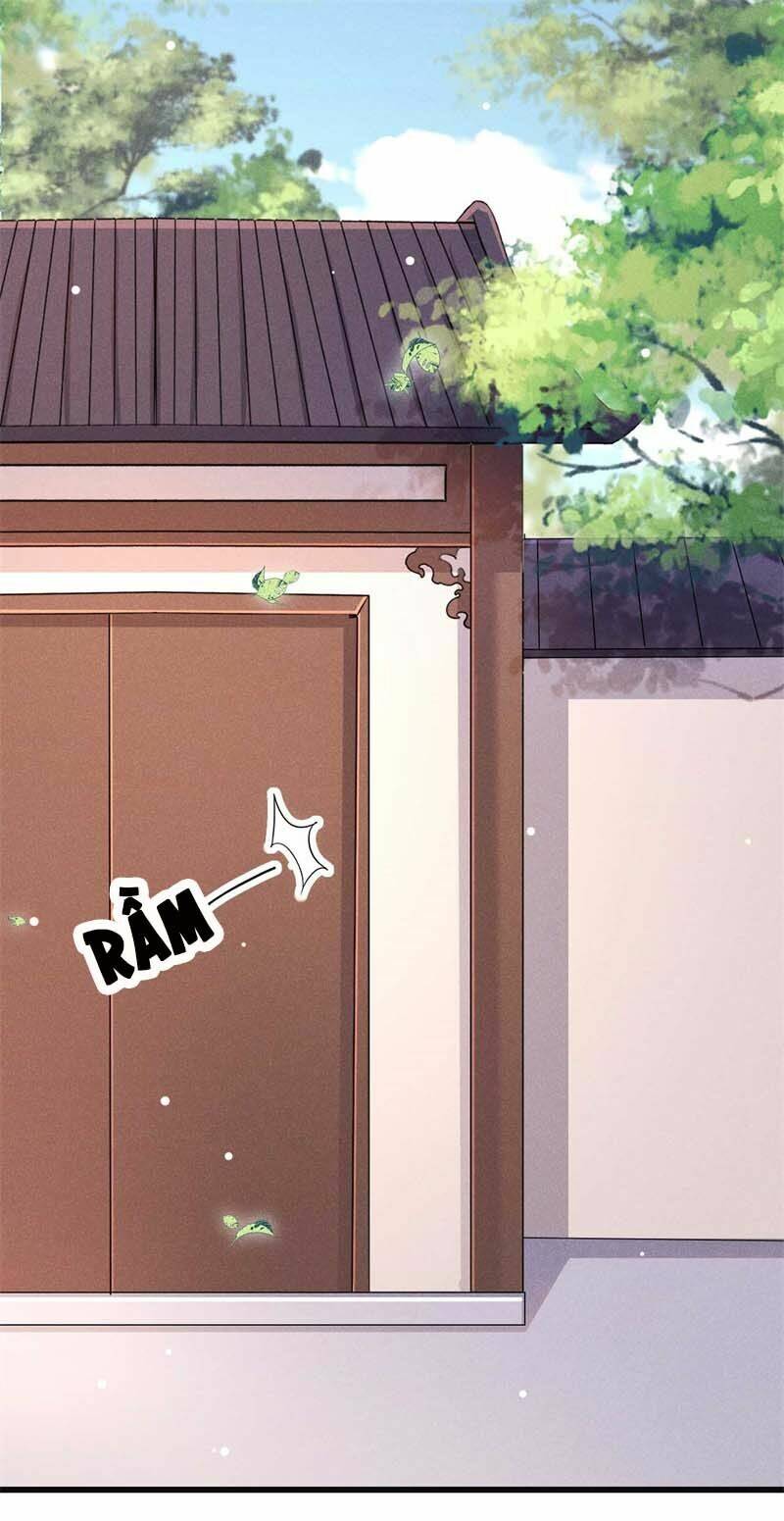 hoàng tử phu quân, ta nuôi ngươi a! chapter 29 29