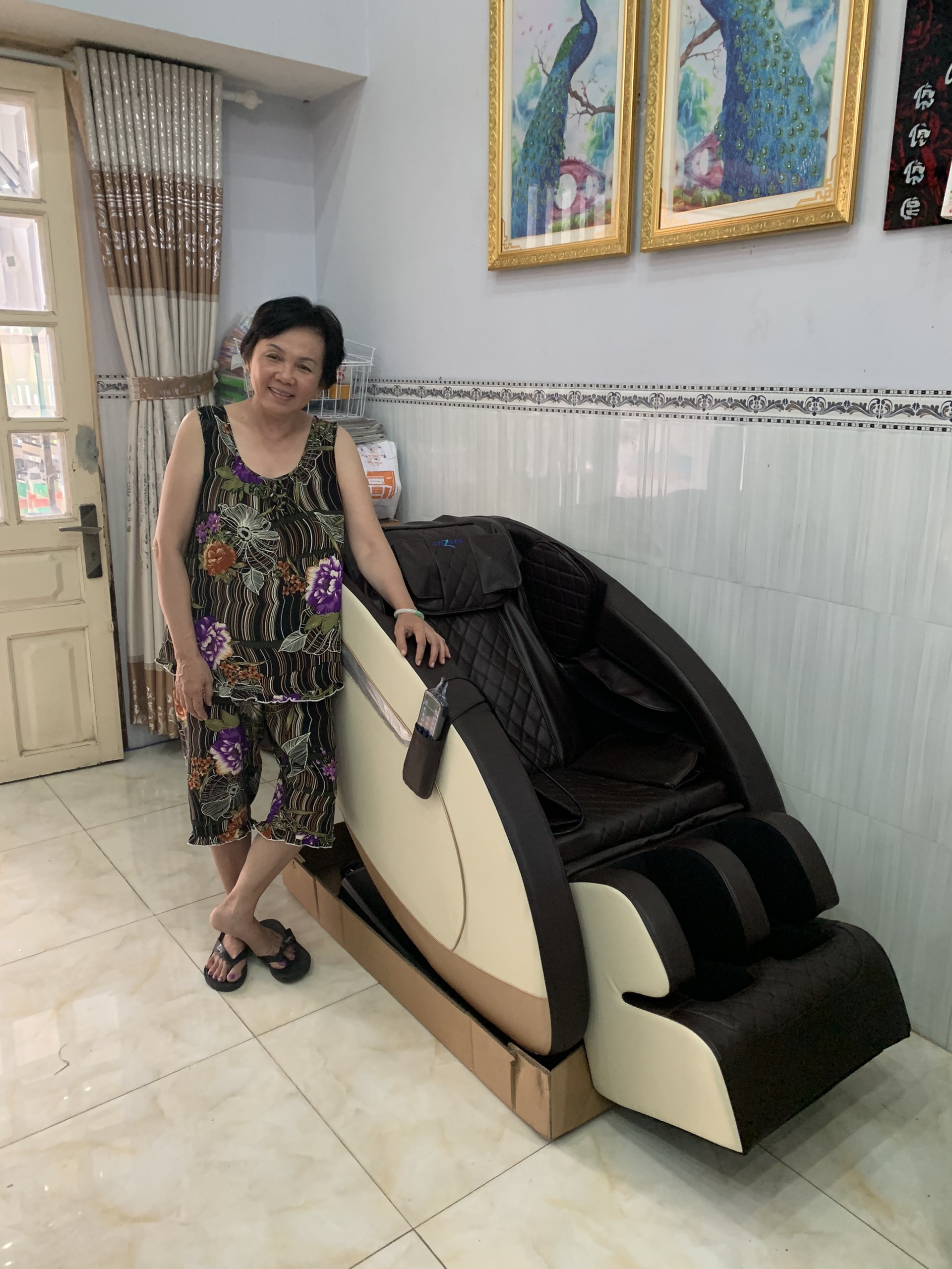 Ghế massage toàn thân Anzani D2