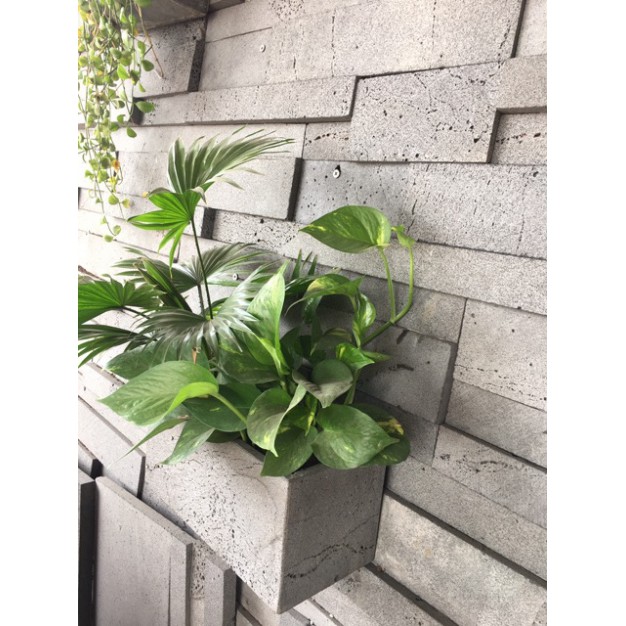 Chậu treo tường, ốp tường trồng cây, trồng hoa khu vực ban công, giếng trời, hình chữ nhật dài 30cm, bằng đá ong xám tự nhiên bền đẹp vĩnh viễn