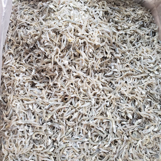 Đặc Sản Nha Trang - Cá Cơm Mờm Sữa Loại 1 Seavy 1kg