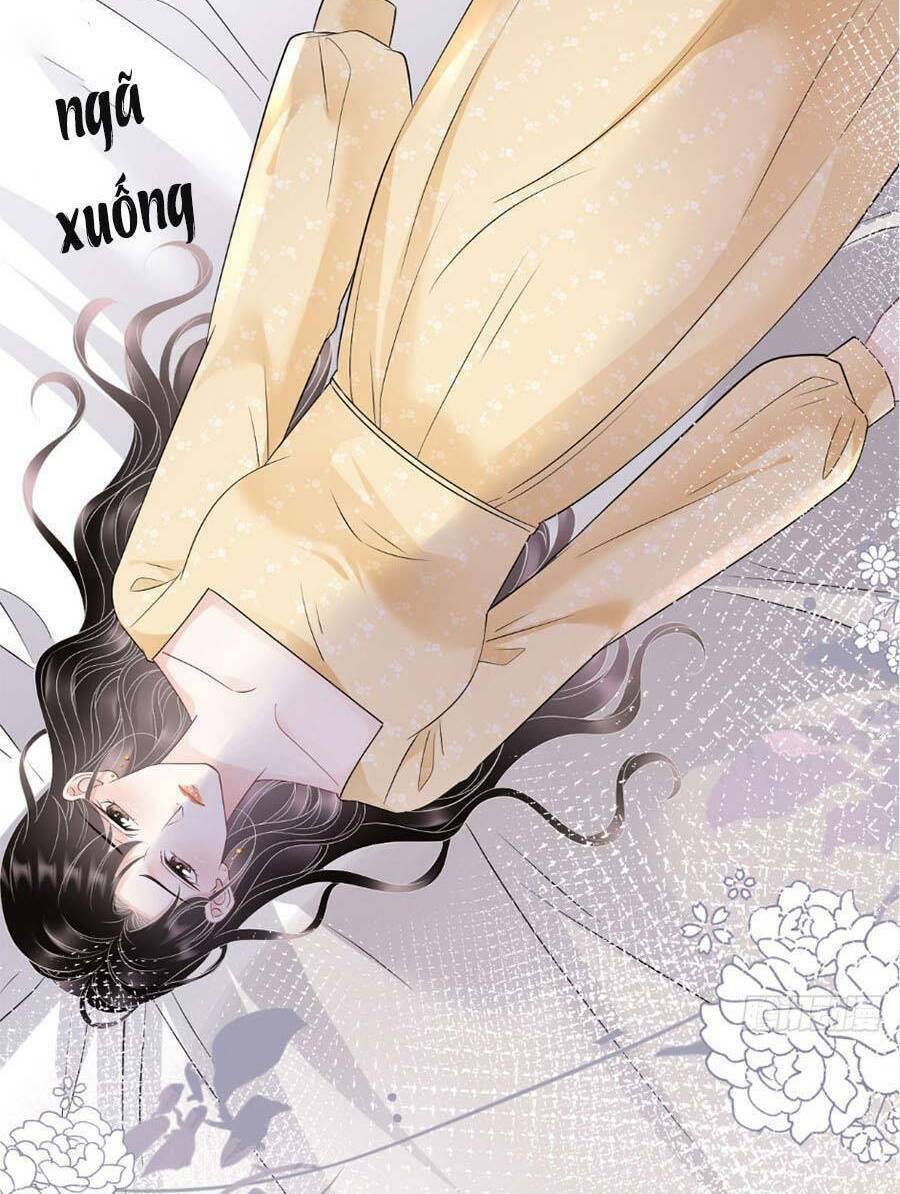 [16+] đại tiểu thư có thể có ý đồ xấu chapter 146 39