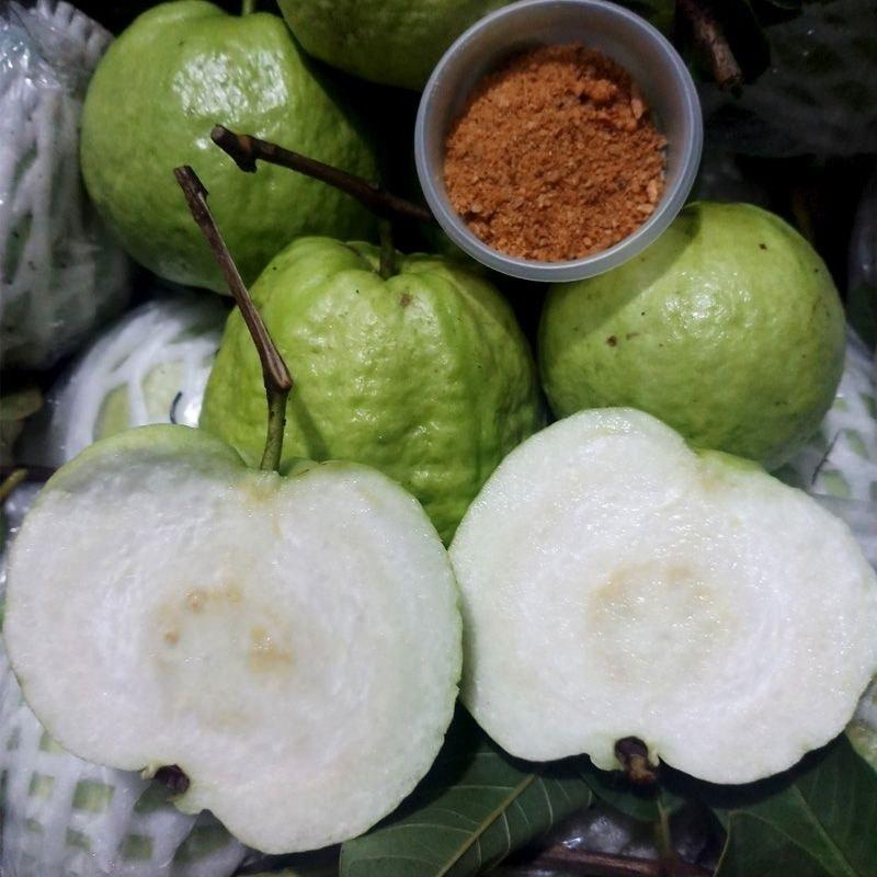 Cây Giống Ổi Lùn nữ Hoàng thái lan